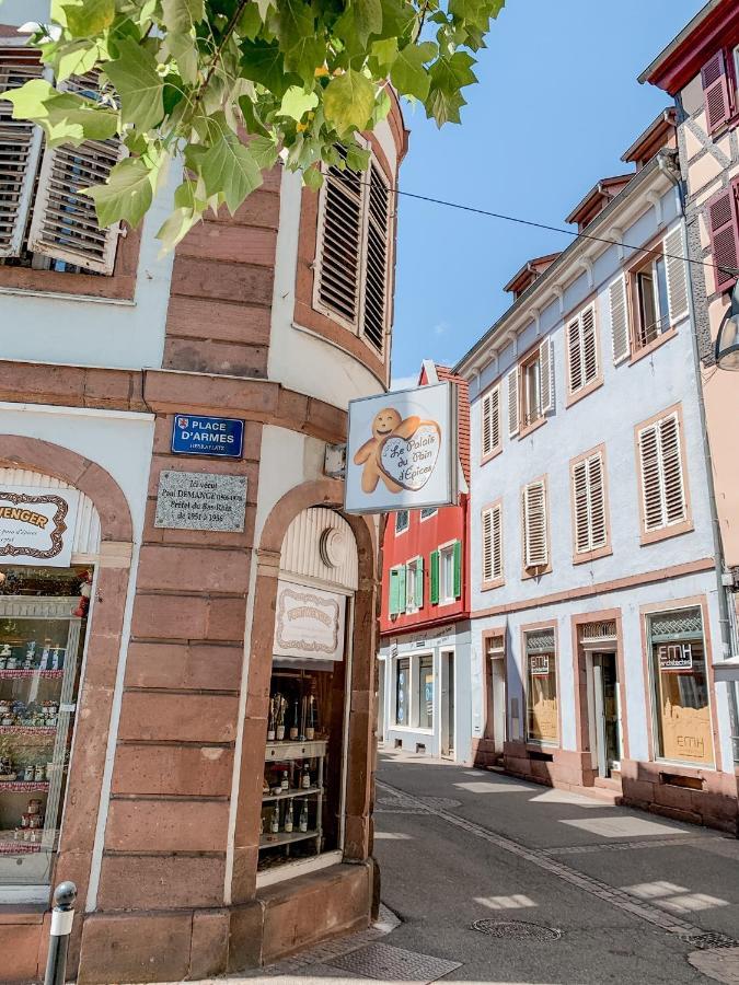 Apartament Le Nid Cosy - En Plein Coeur De Sélestat Zewnętrze zdjęcie