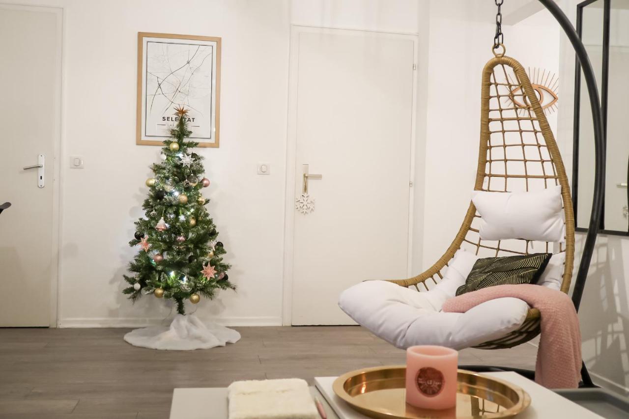 Apartament Le Nid Cosy - En Plein Coeur De Sélestat Zewnętrze zdjęcie