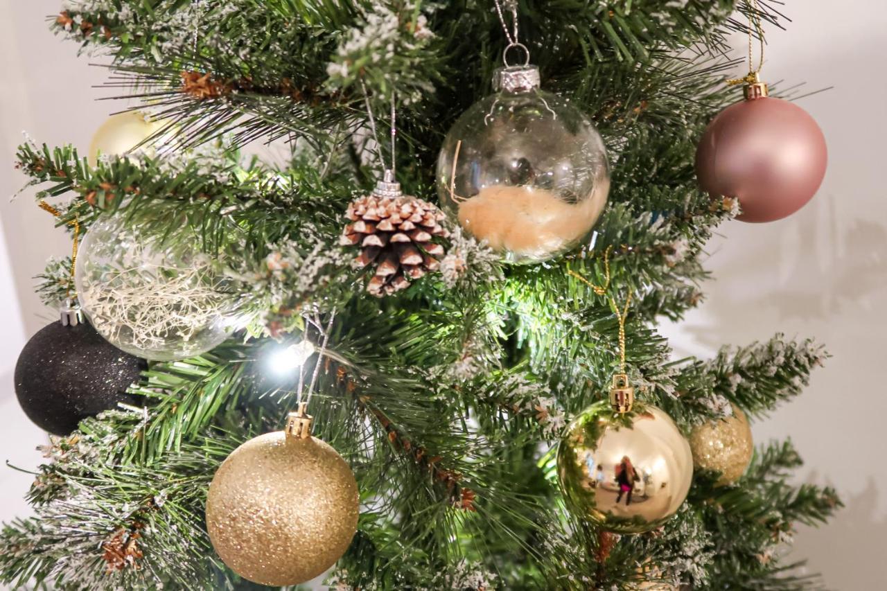 Apartament Le Nid Cosy - En Plein Coeur De Sélestat Zewnętrze zdjęcie