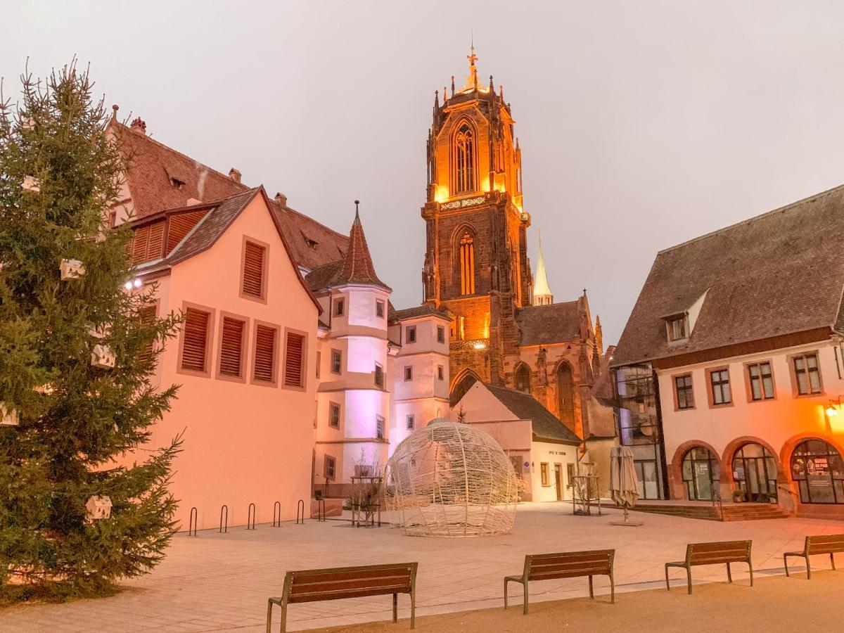 Apartament Le Nid Cosy - En Plein Coeur De Sélestat Zewnętrze zdjęcie