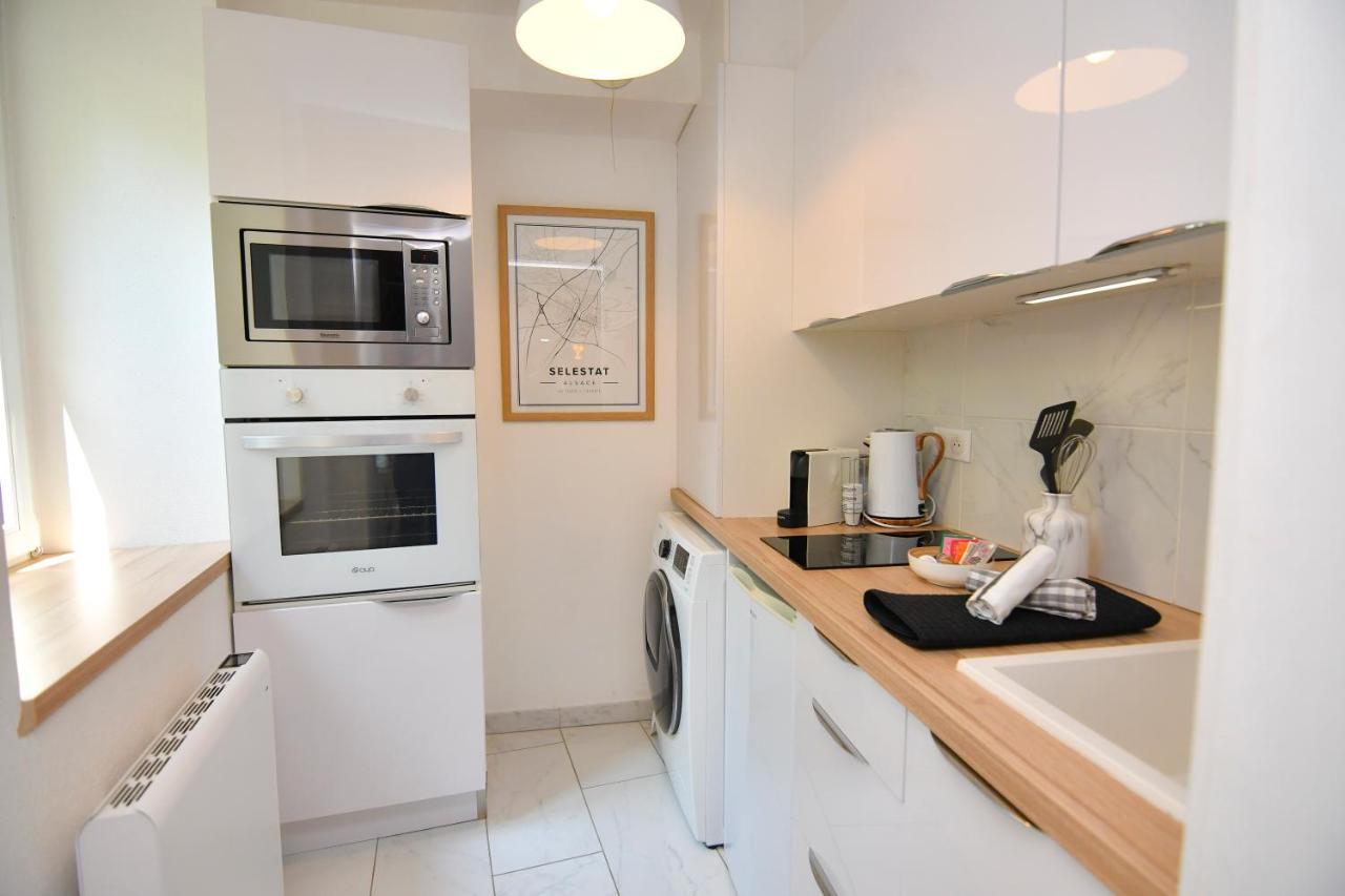 Apartament Le Nid Cosy - En Plein Coeur De Sélestat Zewnętrze zdjęcie